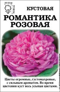 romantika_rozovaya_2015